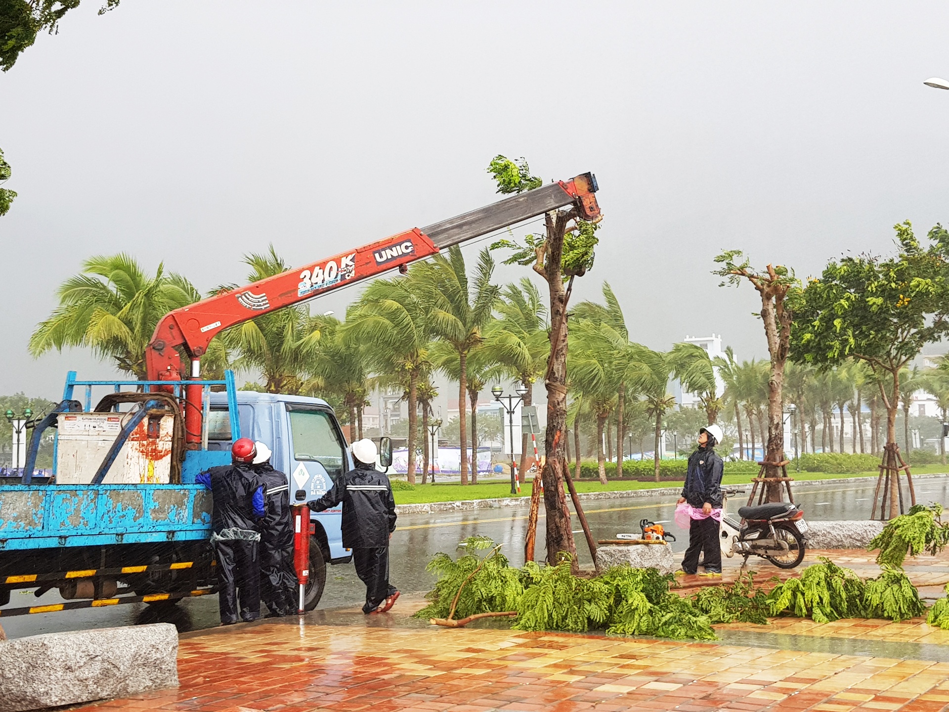 Tuan le cap cao APEC anh 1