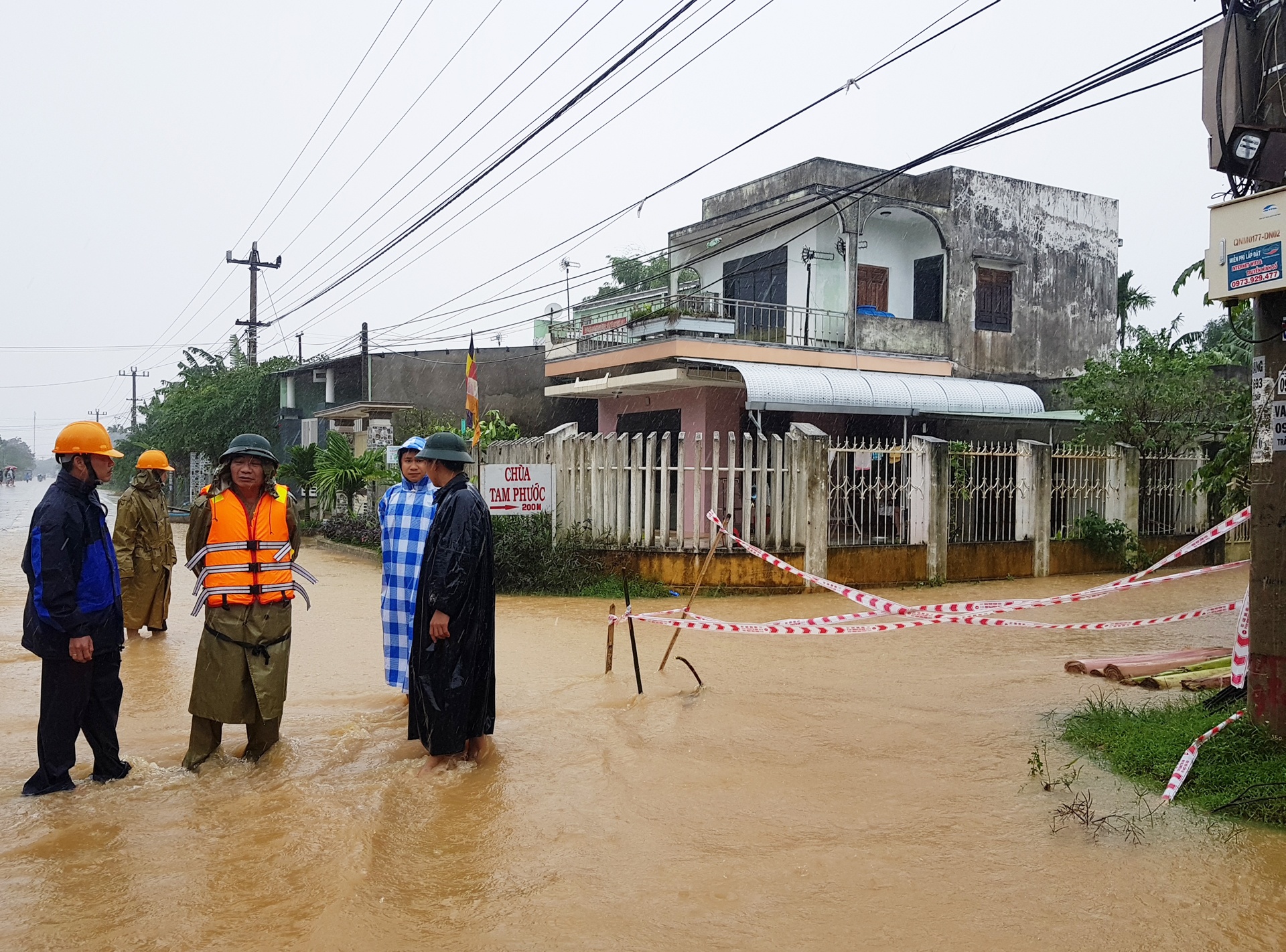 ron lu dai loc anh 7