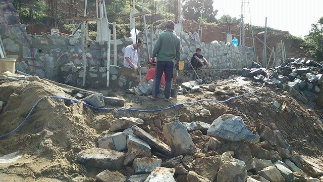 Dao xoi Son Tra anh 2