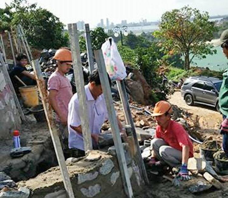 Dao xoi Son Tra anh 1