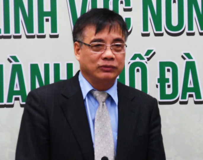 Thu hut dau tu tai Da Nang anh 1