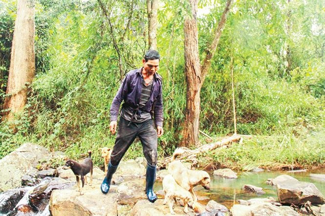 Cho 'thien chien' o Krong Pa anh 2