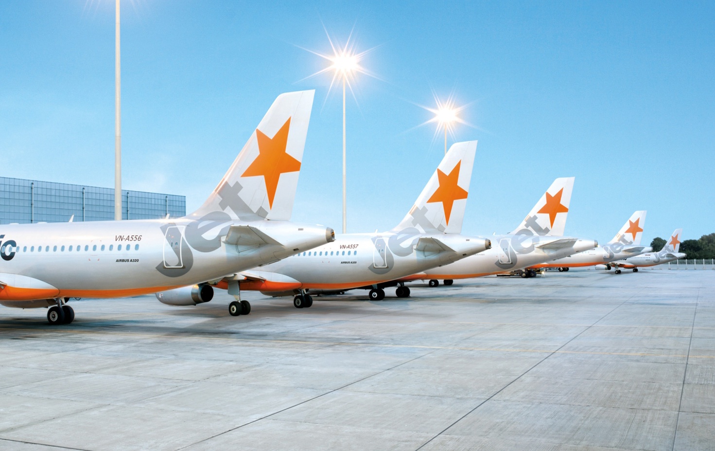 Hoan chuyen bay vi va phai chim anh 1