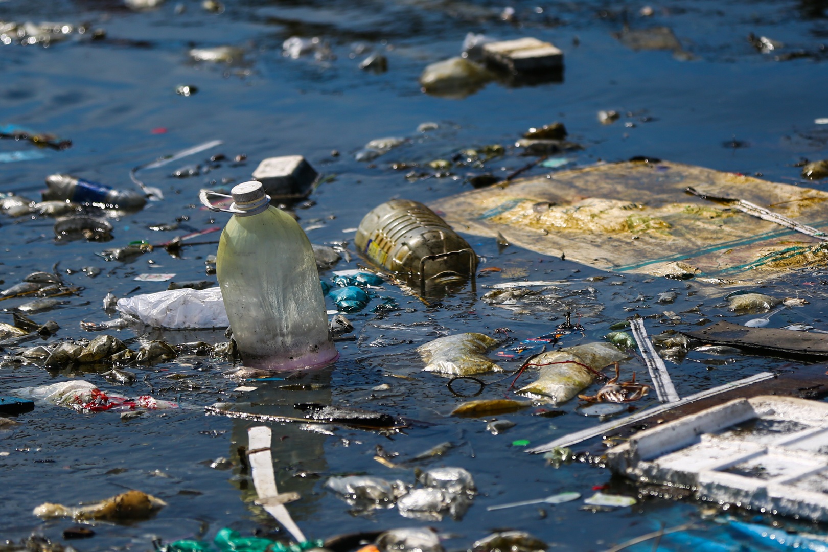 O nhiem moi truong o Da Nang anh 7