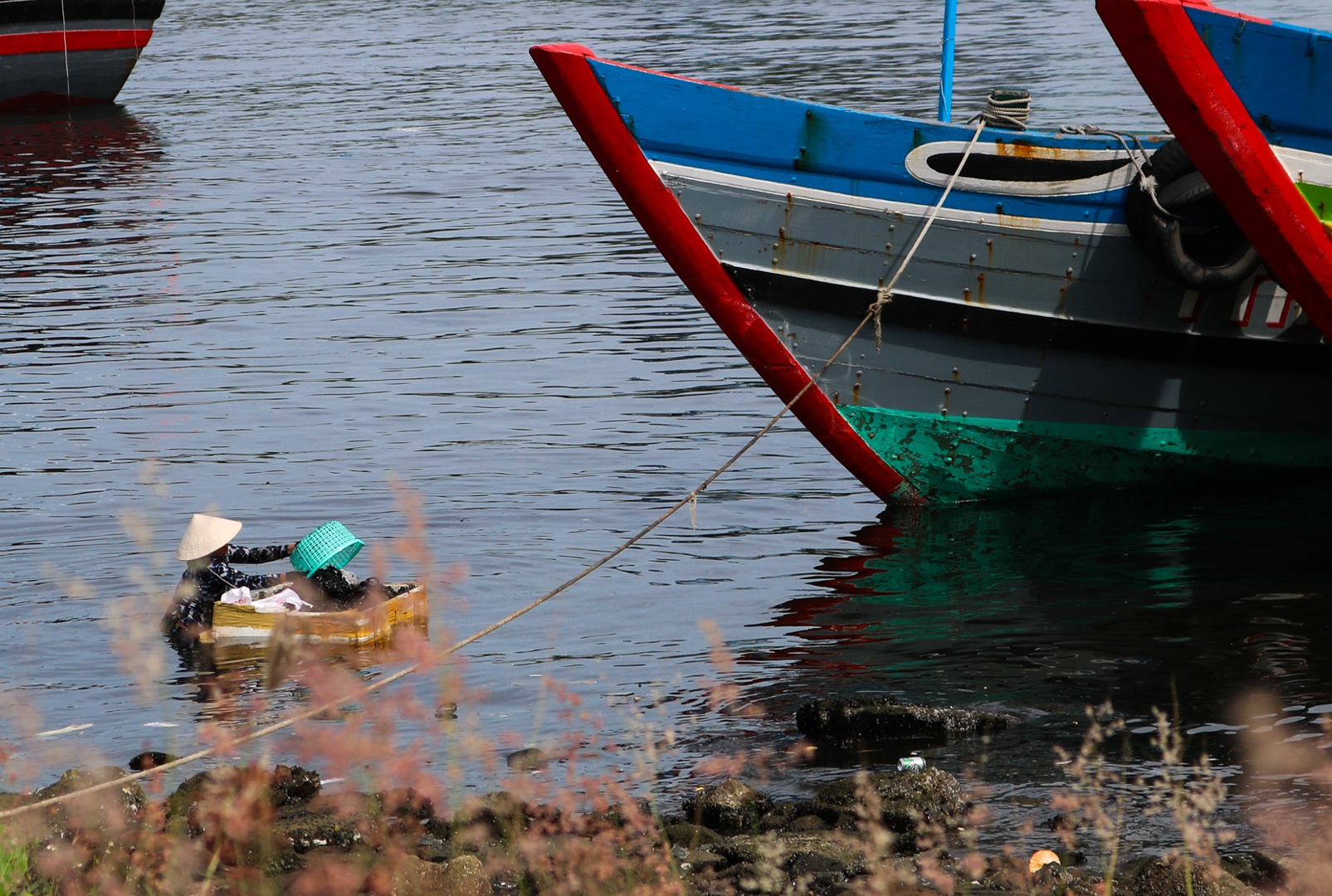 O nhiem moi truong o Da Nang anh 13