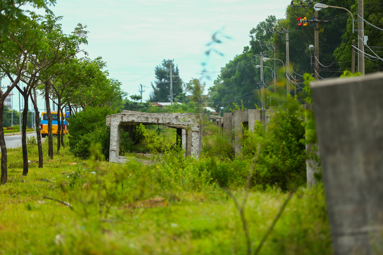 Làng Đại học treo 2 thế kỷ ở Đà Nẵng ảnh 12 Lang Dai hoc treo 2 the ky o Da Nang anh 12