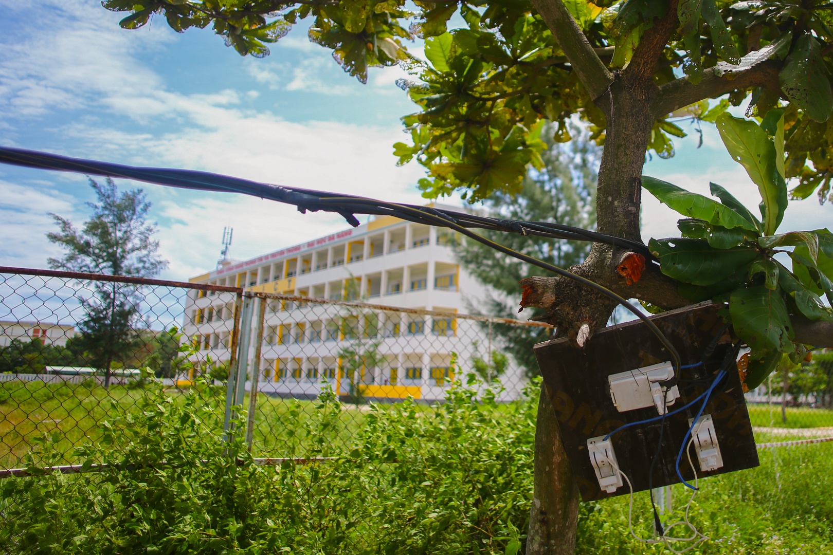 Tai dong du an lang Dai hoc Da Nang anh 3