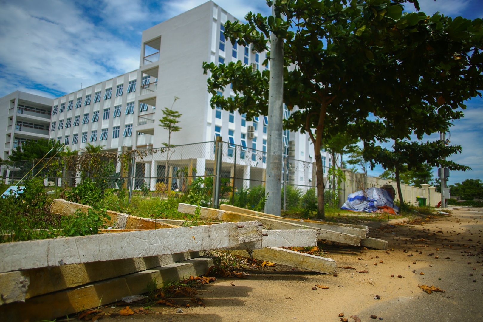 Làng Đại học treo 2 thế kỷ ở Đà Nẵng ảnh 9 Lang Dai hoc treo 2 the ky o Da Nang anh 9