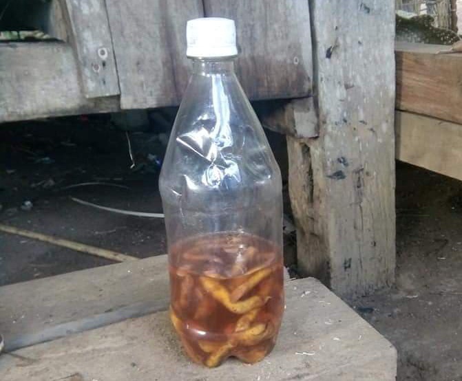 Uong 1,5 lit ruou ngam re cay, 2 nguoi thiet mang hinh anh