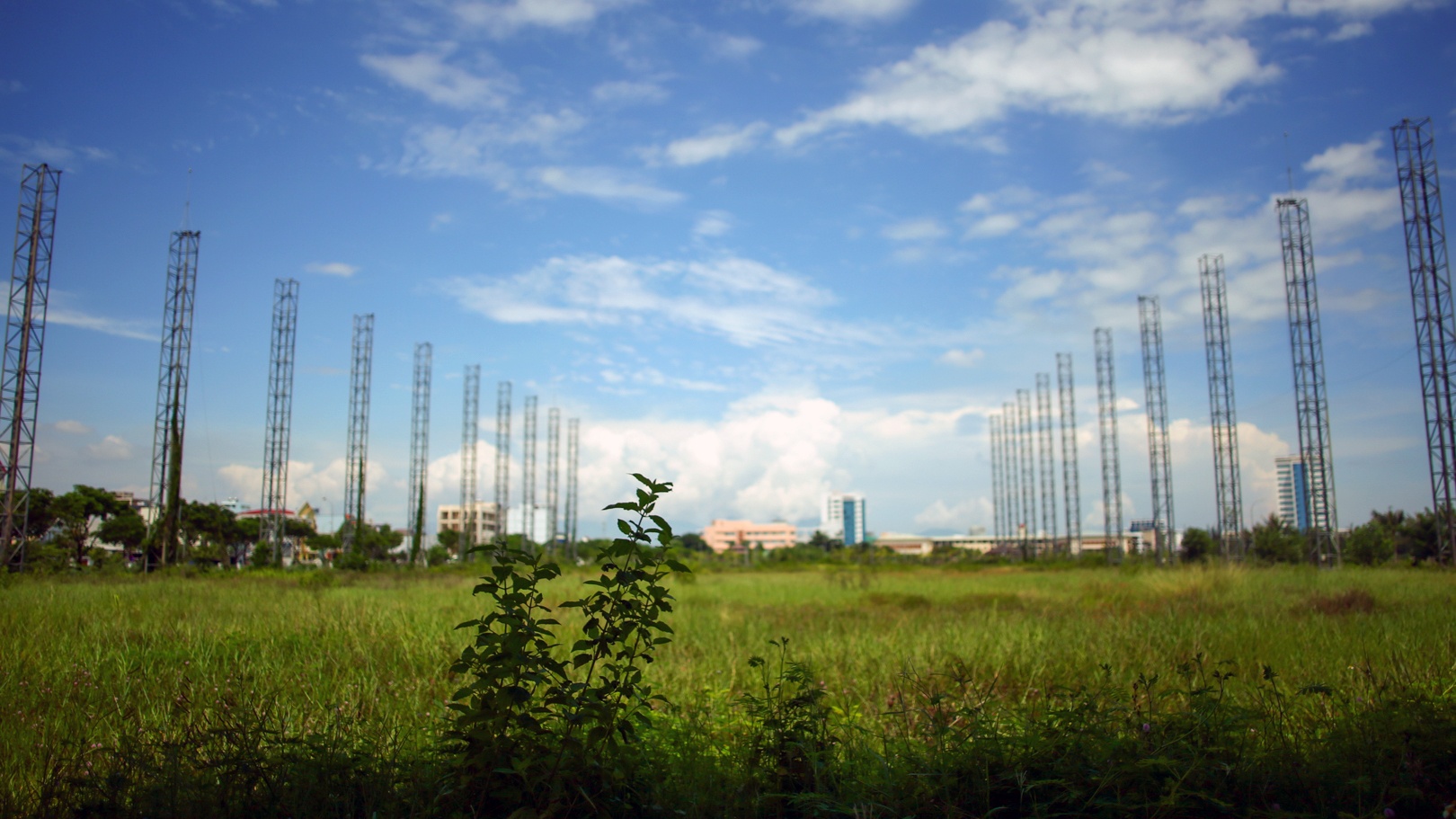 Cong vien 50 ty dong o Da Nang bo hoang anh 4