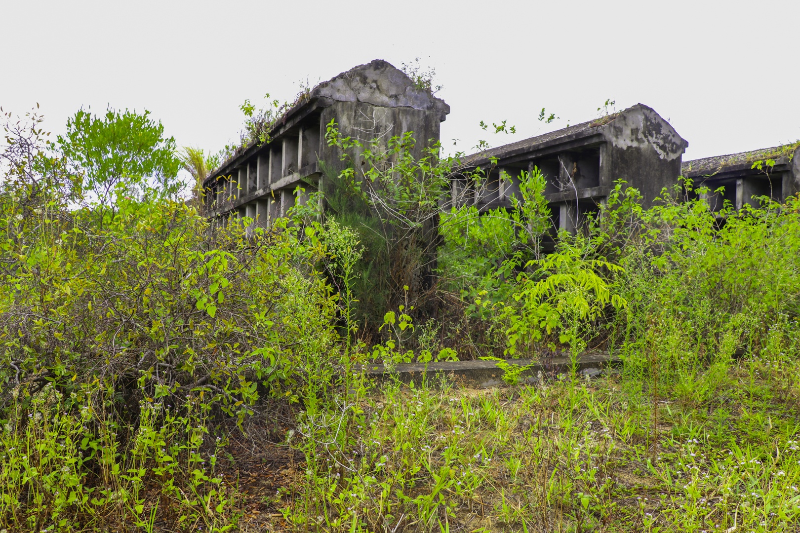 Nhà hỏa táng bỏ hoang ở Hội An ảnh 3 Nha hoa tang bo hoang o Hoi An anh 3