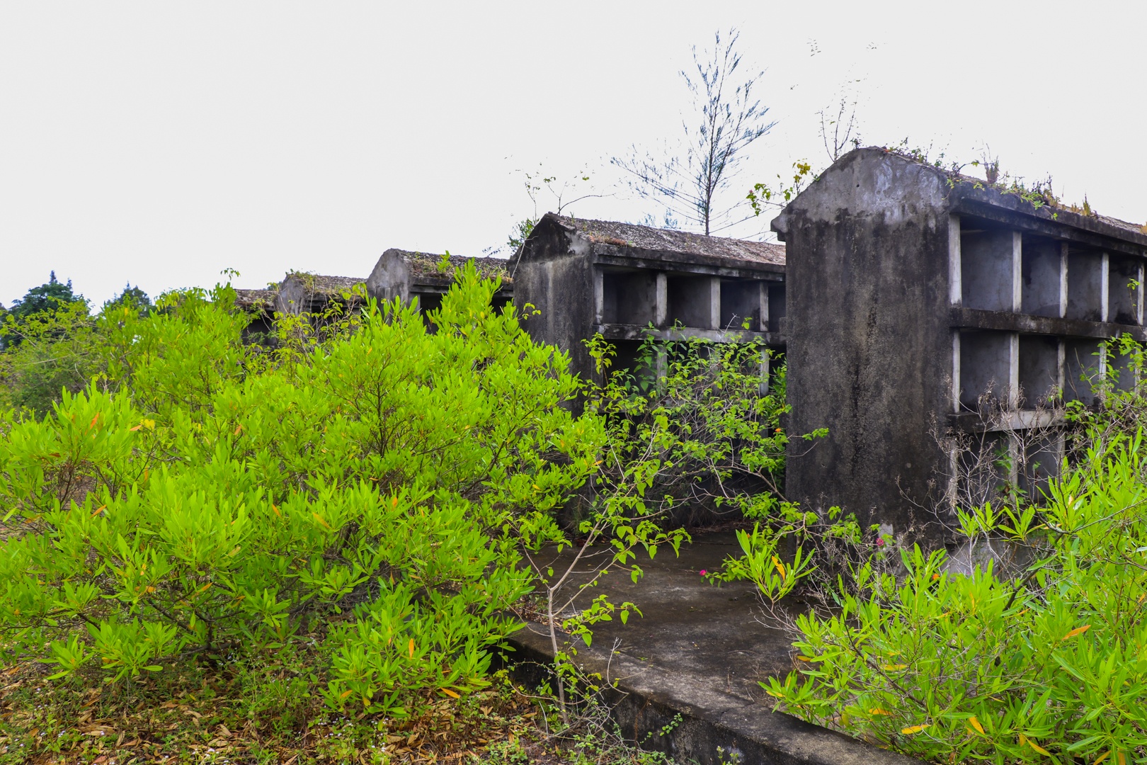 Nhà hỏa táng bỏ hoang ở Hội An ảnh 4 Nha hoa tang bo hoang o Hoi An anh 4