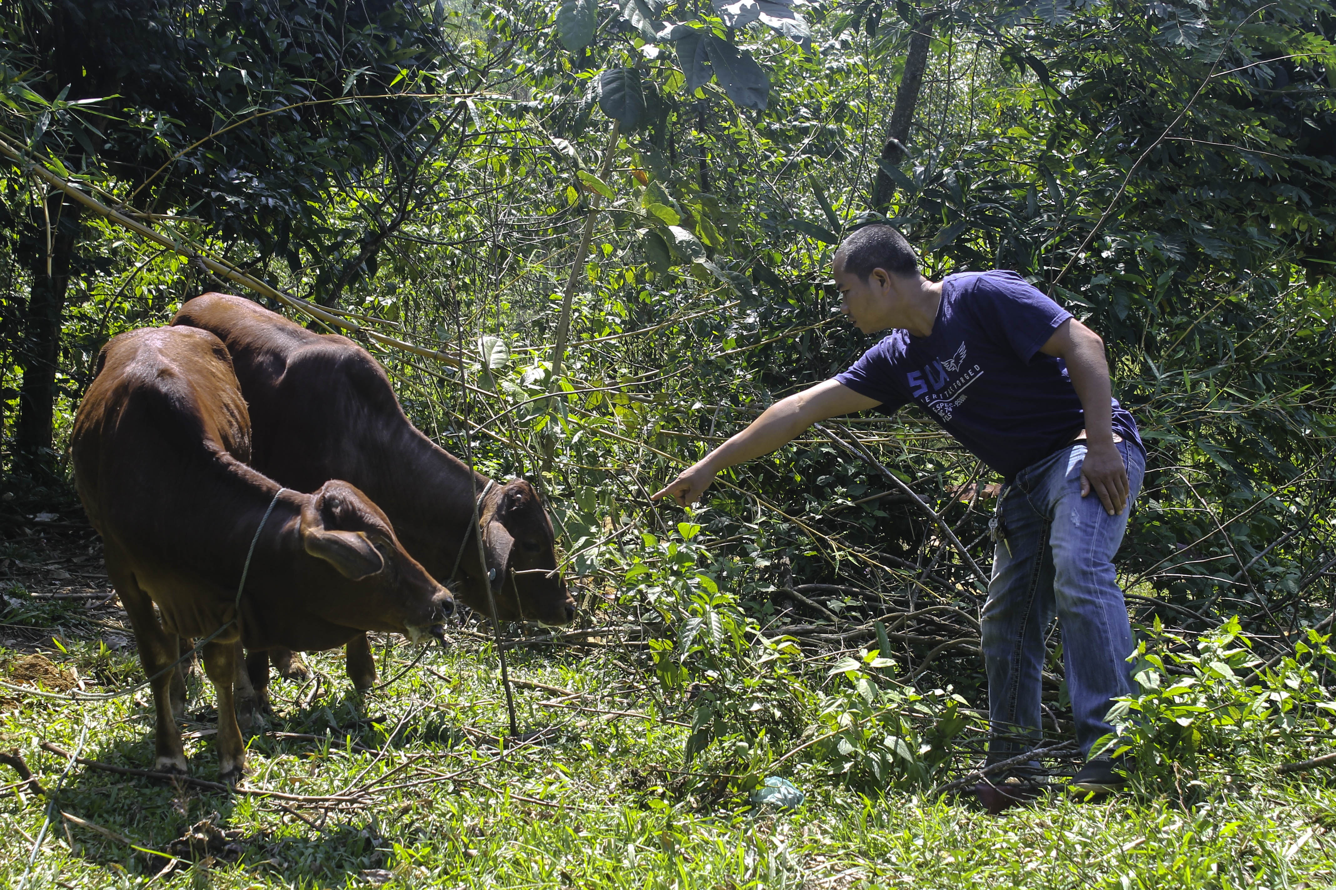 Tang bo bi benh cho nguoi ngheo anh 1