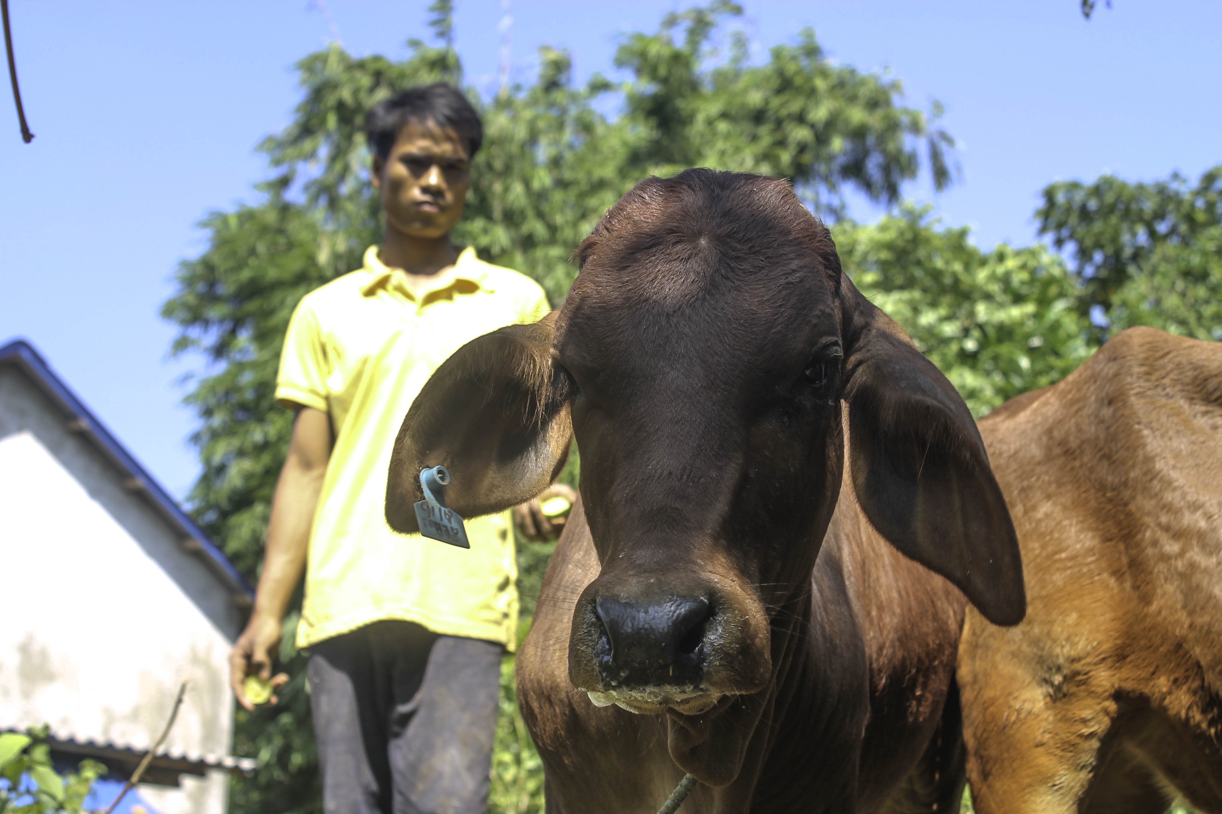 Tang bo bi lo mom long mong cho dan ngheo hinh anh