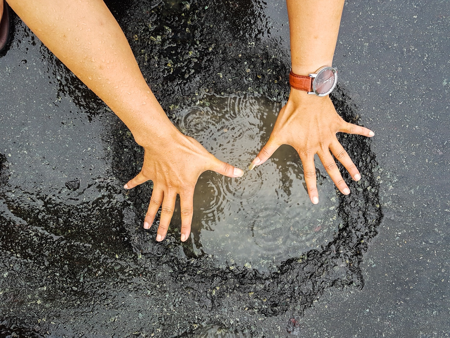 Cao toc 34.500 ty chi tiet o ga anh 6