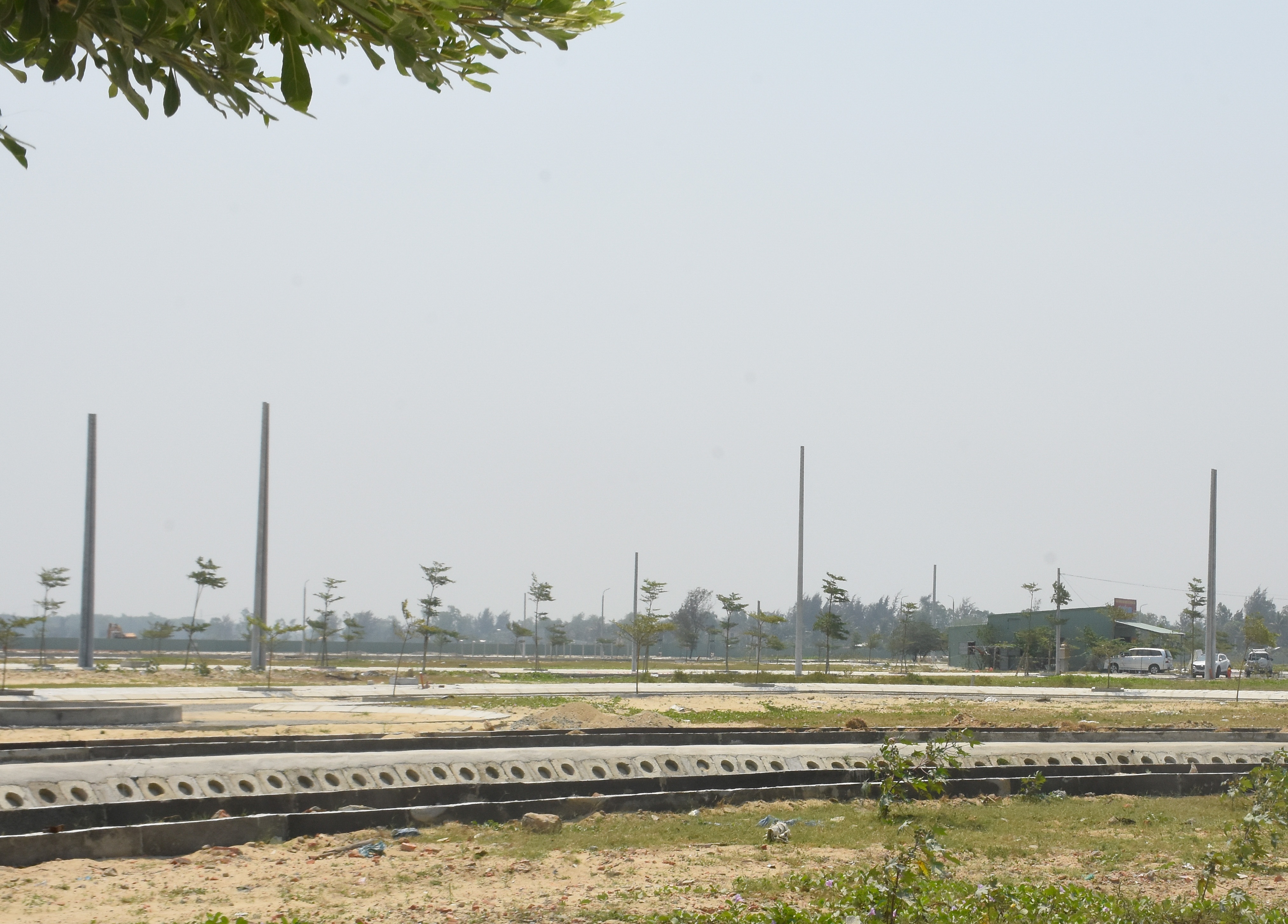 Cong ty Bach Dat An ban dat nen trai quy dinh anh 1