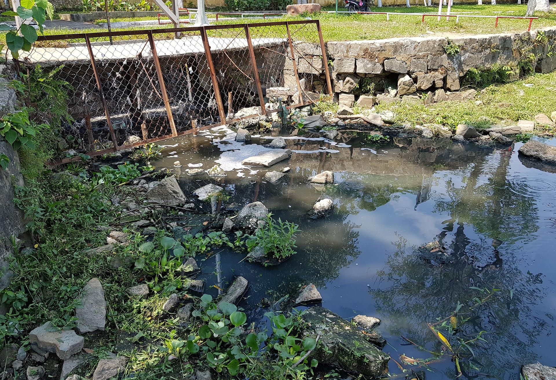 Can canh ho nuoc o Cong vien Da Nang bi o nhiem hinh anh