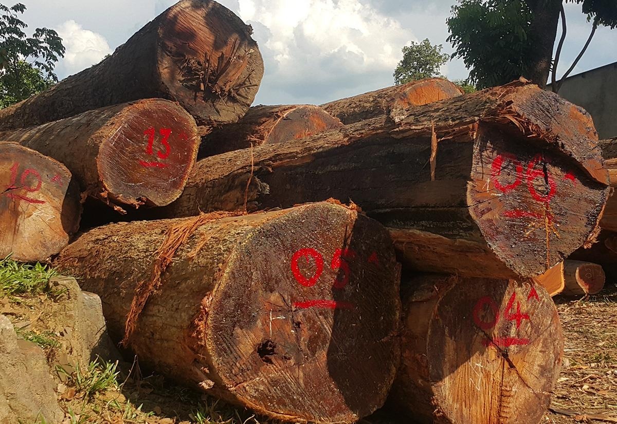 VKSND Toi cao khoi to vu an 'ra quyet dinh trai phap luat' cua C44 hinh anh