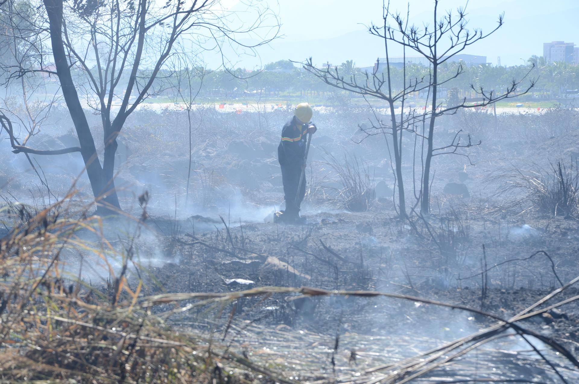 Chay o ban dao Son Tra anh 1