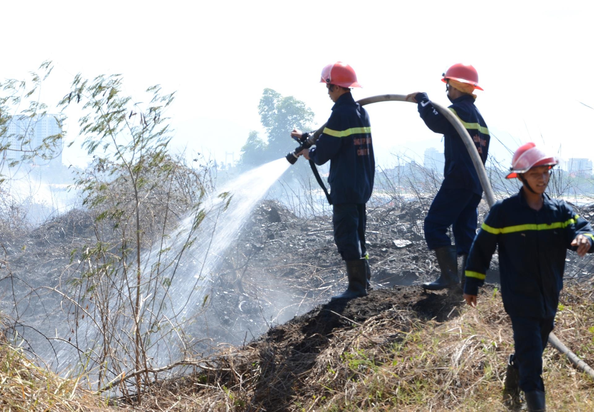 Hien truong vu chay tren nui Son Tra hinh anh