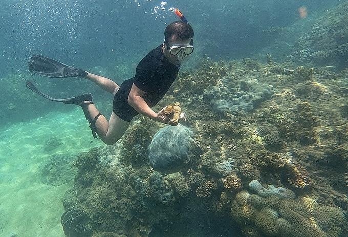 Du khach nhat rac duoi day bien Son Tra, bao ve ran san ho quy hiem hinh anh