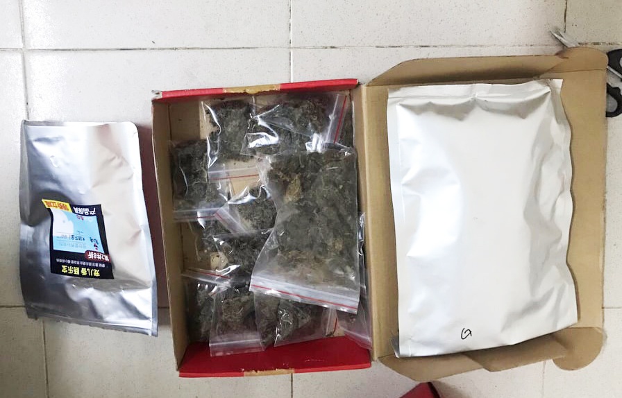Sinh viên buôn ma túy ảnh 2 Sinh vien buon ma tuy anh 2