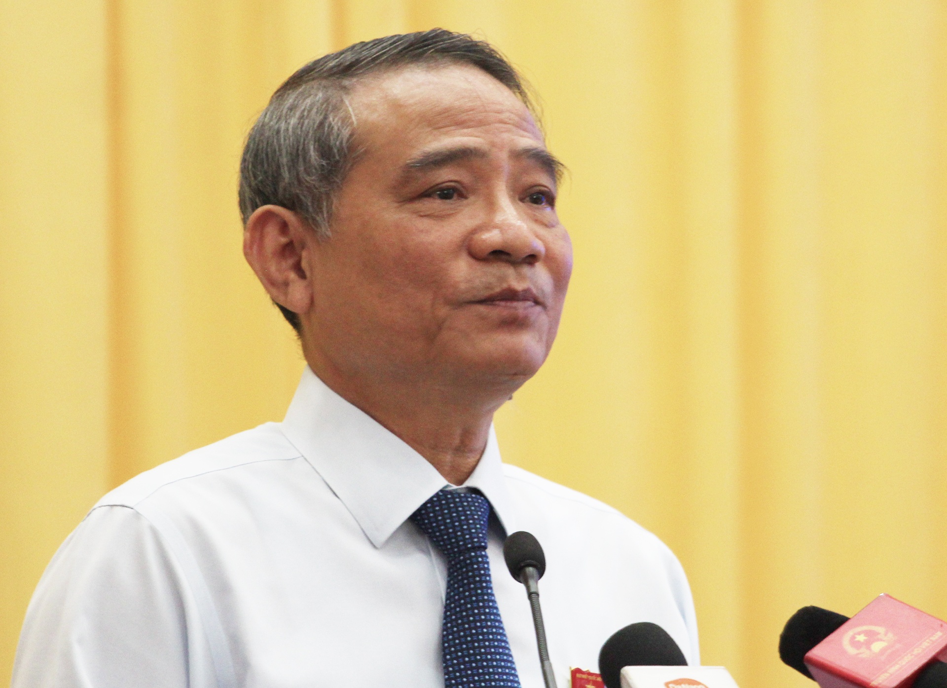 Bi thu Da Nang: San sang tra ca goc lan lai de chuoc san Chi Lang hinh anh