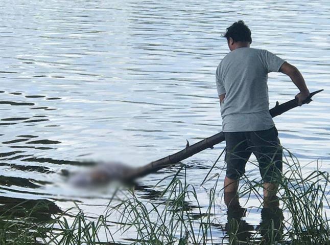 Phat hien thi the nu nhan vien quan ca phe noi tren song o Da Nang hinh anh