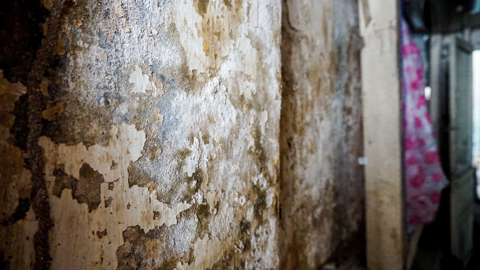 Can canh khu chung cu o Da Nang xuong cap anh 6