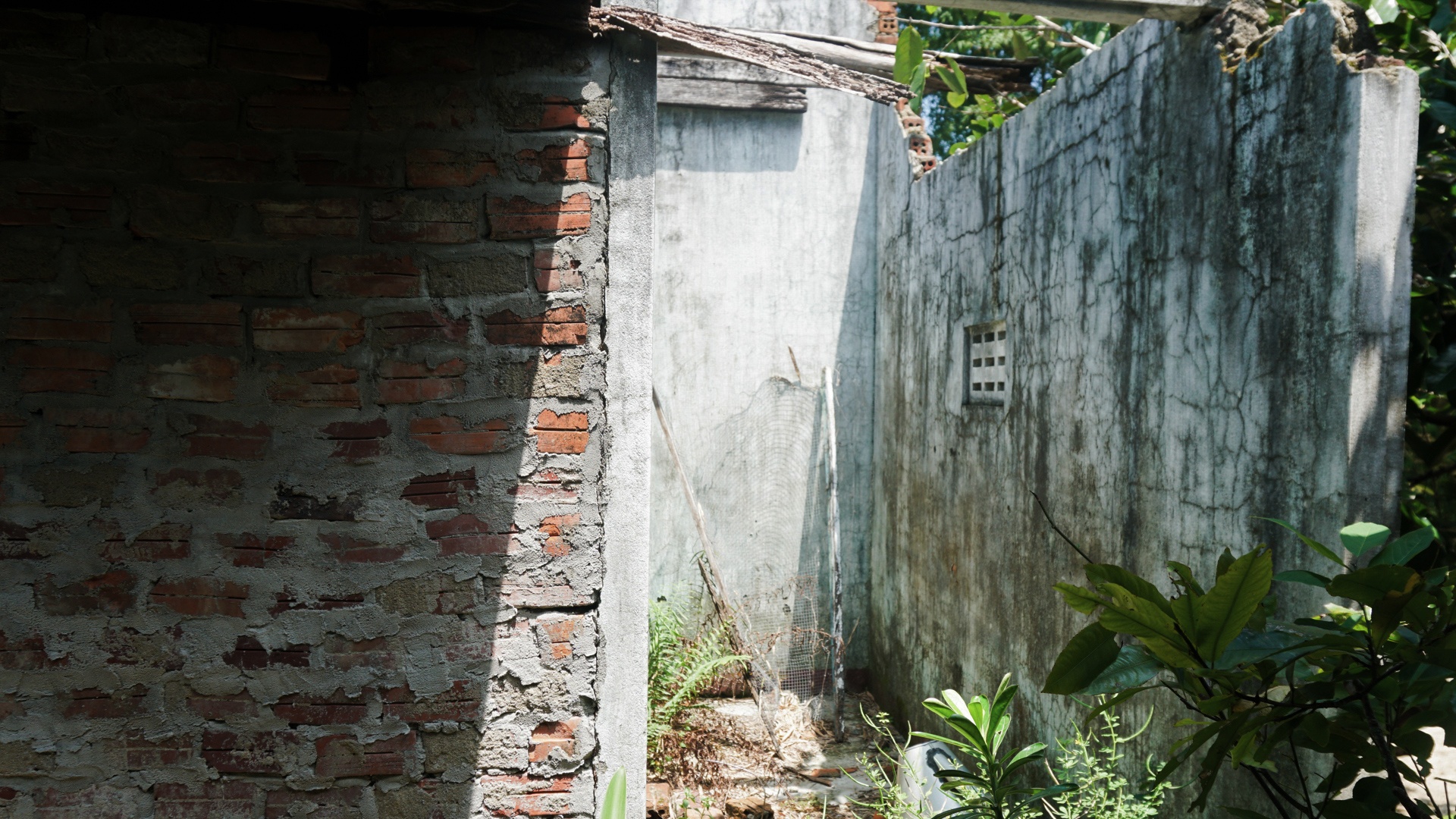 Du an treo lang dai hoc Da Nang anh 13