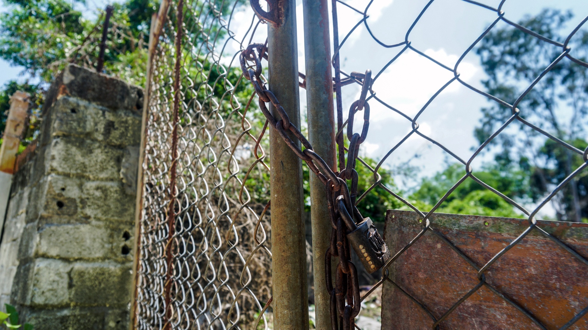 Du an treo lang dai hoc Da Nang anh 14