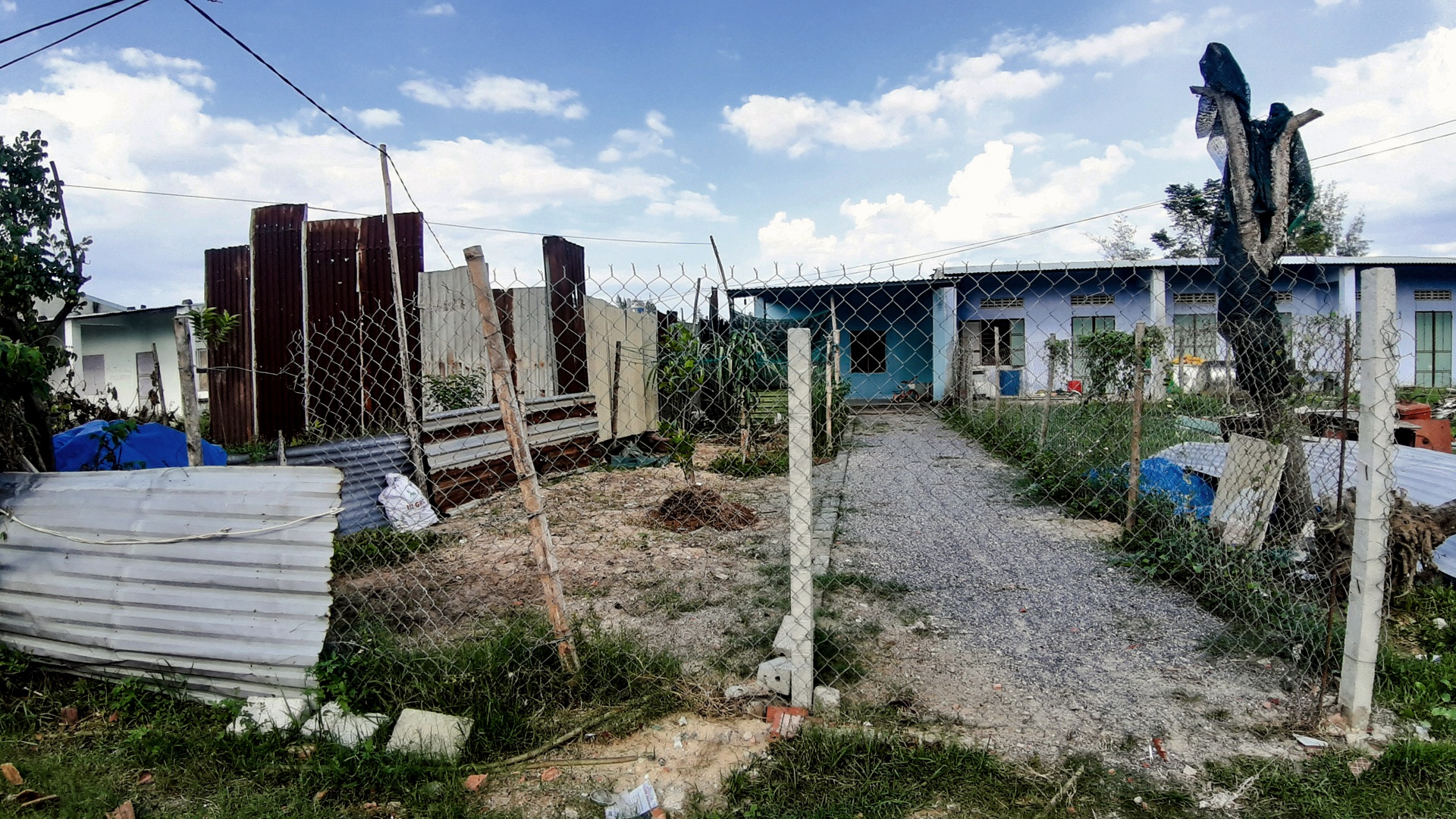 Du an treo lang dai hoc Da Nang anh 3