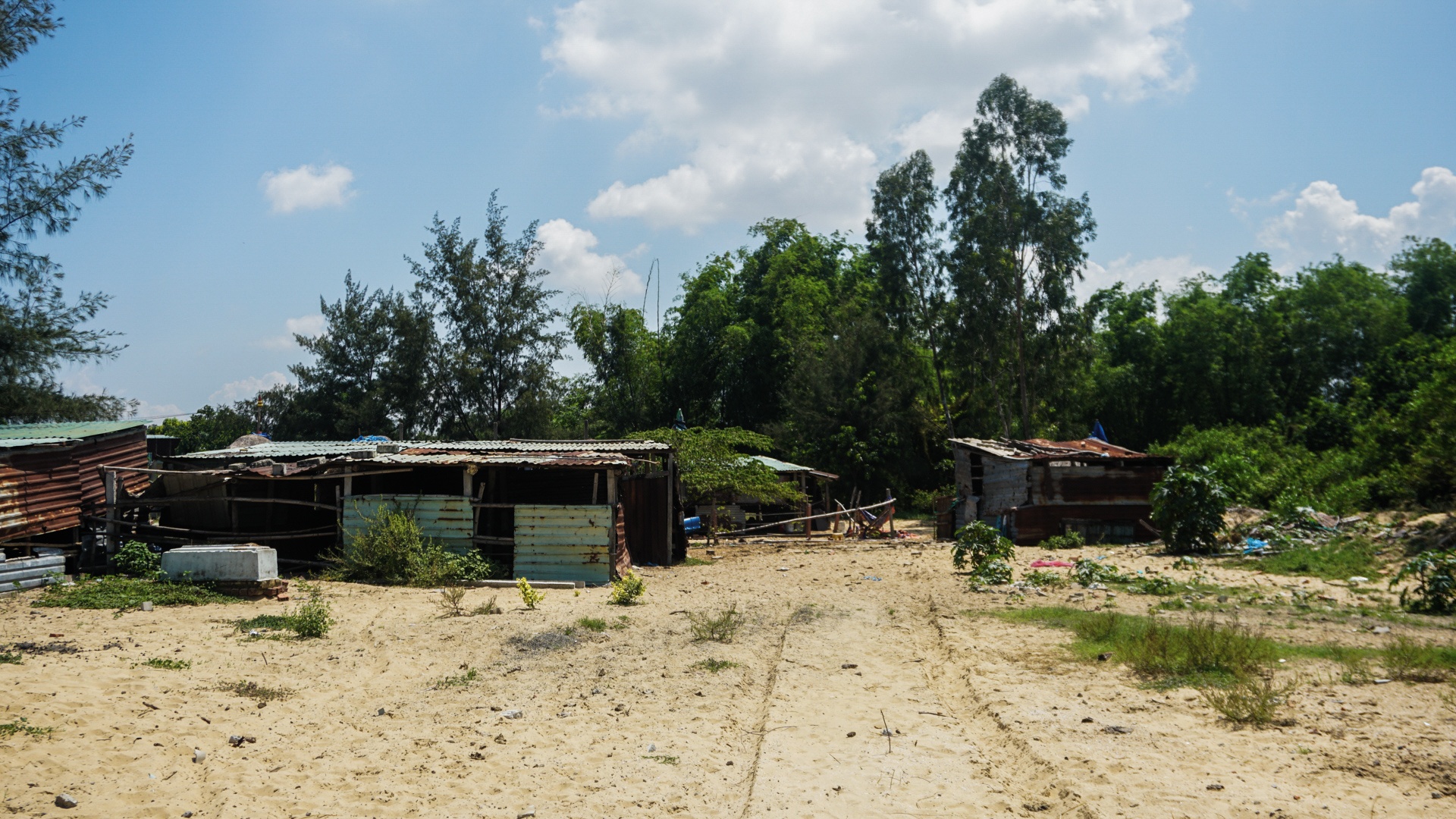 Du an treo lang dai hoc Da Nang anh 9