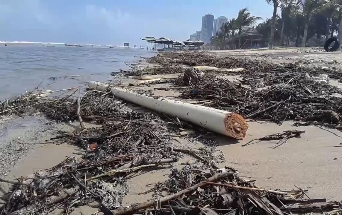 Xac cay va rac ngap bai bien dep nhat Da Nang hinh anh