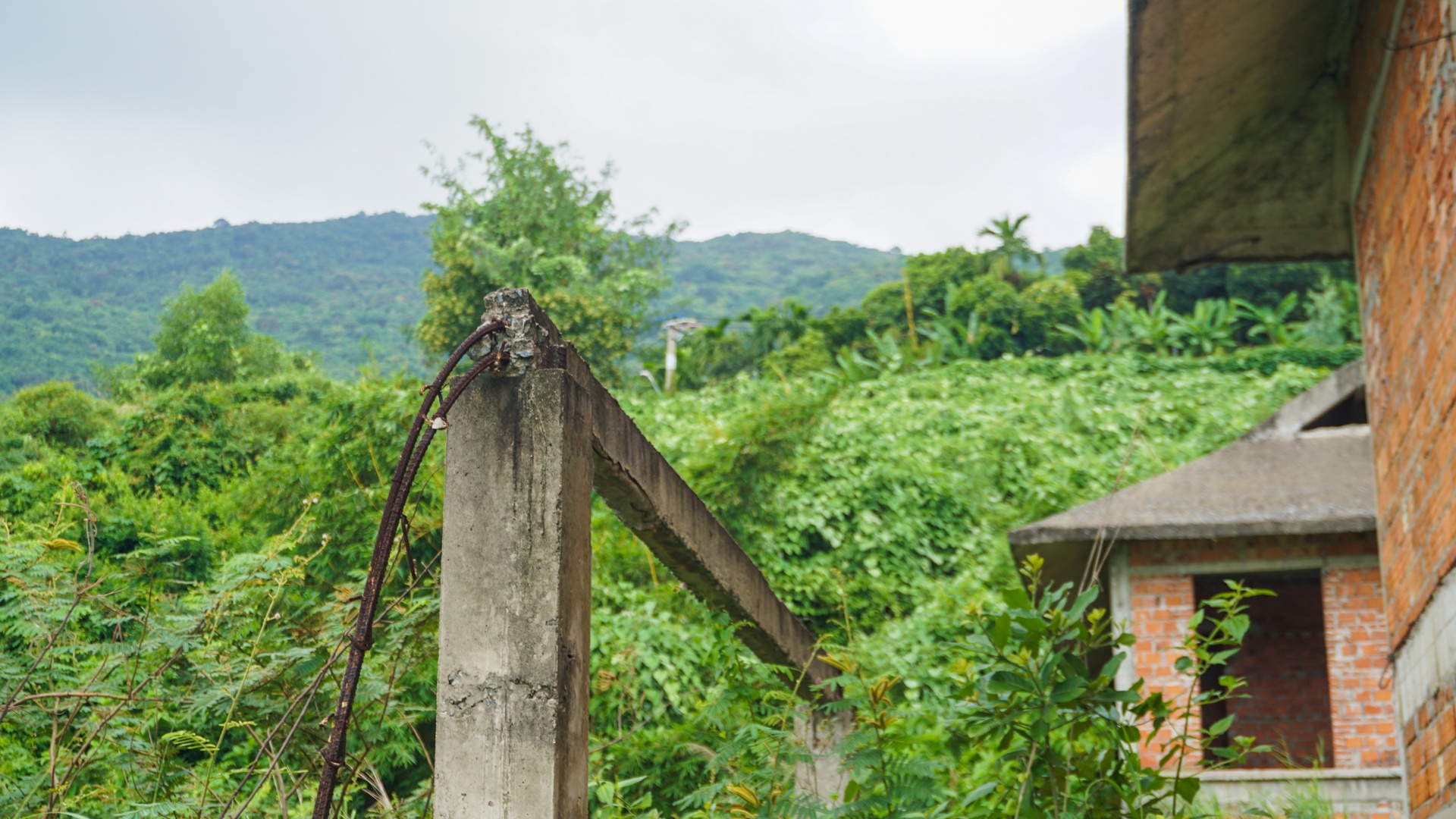 Ket luan thanh tra ve sai pham tren Son Tra anh 9
