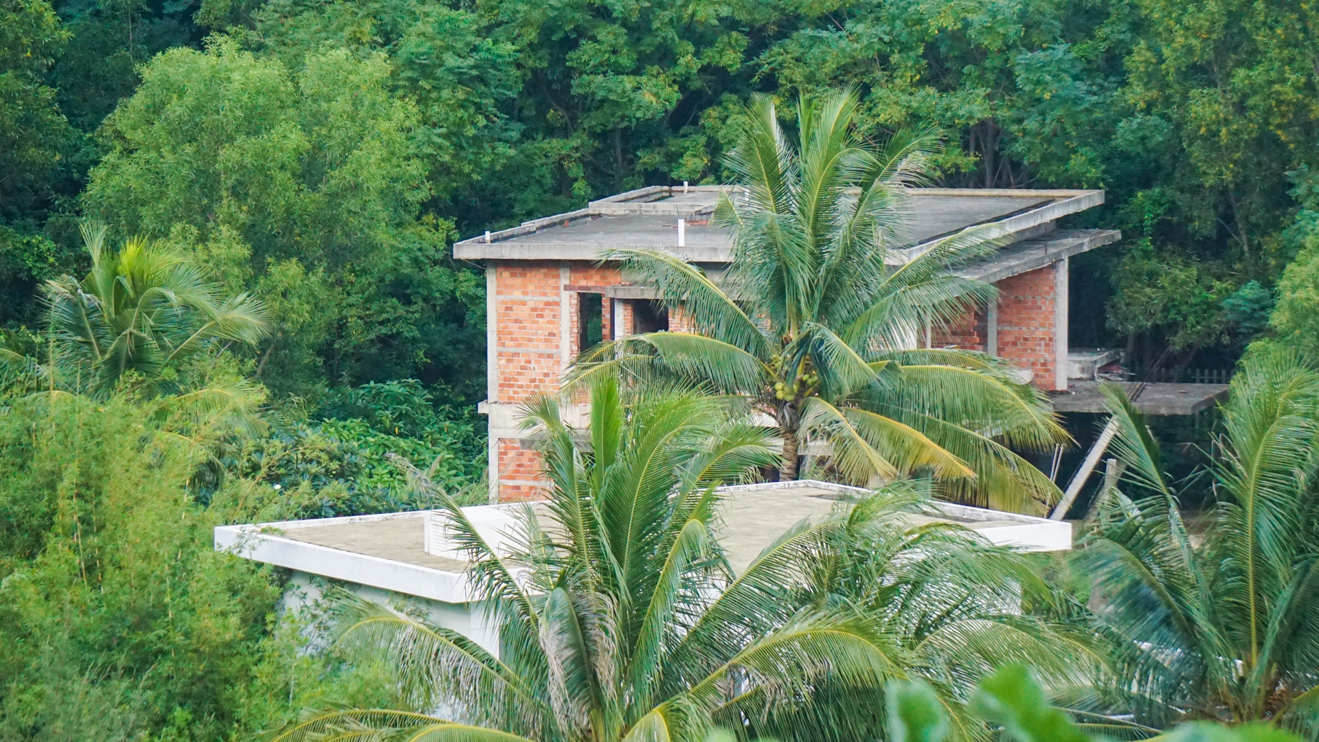 Ket luan thanh tra ve sai pham tren Son Tra anh 12