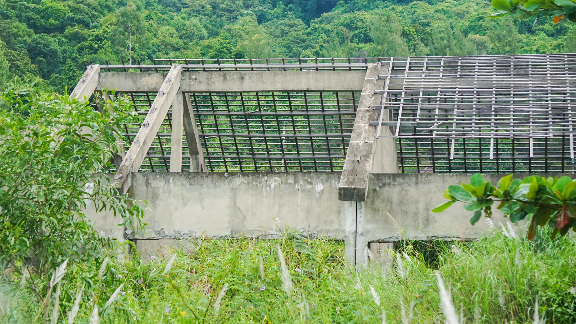 Ket luan thanh tra ve sai pham tren Son Tra anh 8