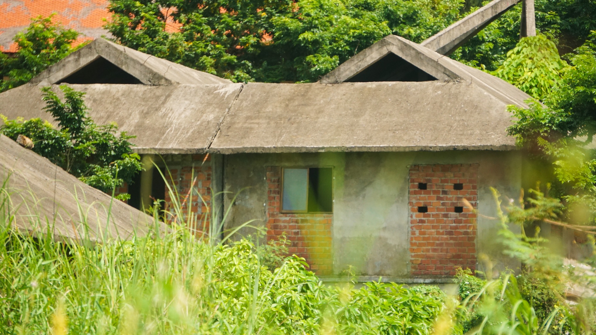 Ket luan thanh tra ve sai pham tren Son Tra anh 6