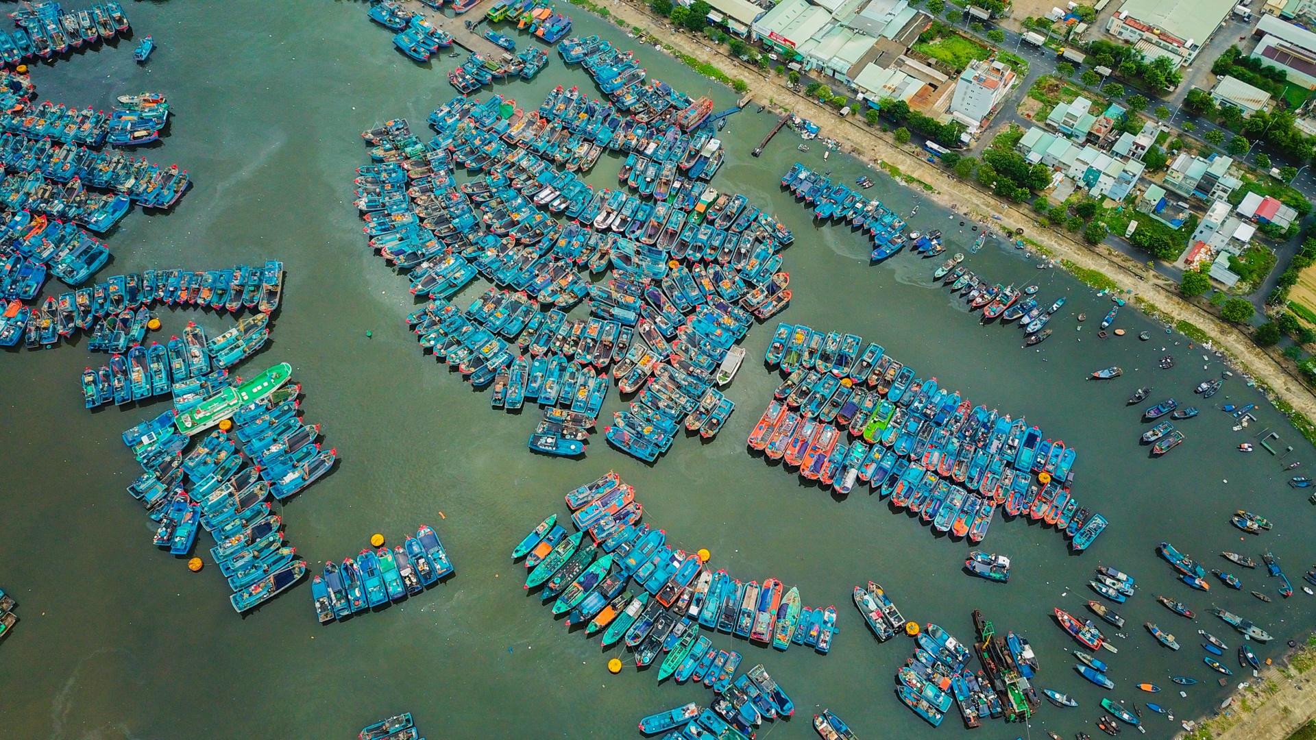 Tau ca tranh bao o Da Nang anh 2