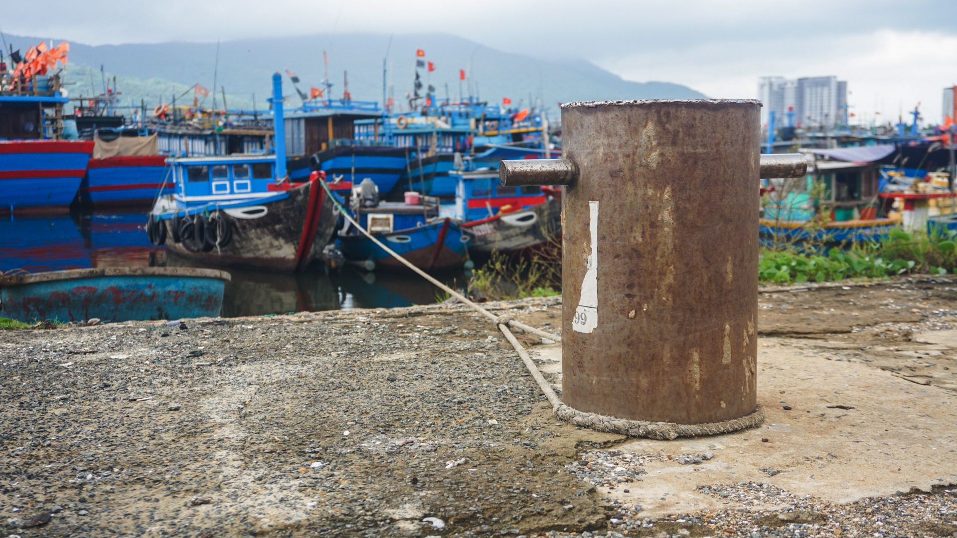 Tau ca tranh bao o Da Nang anh 7