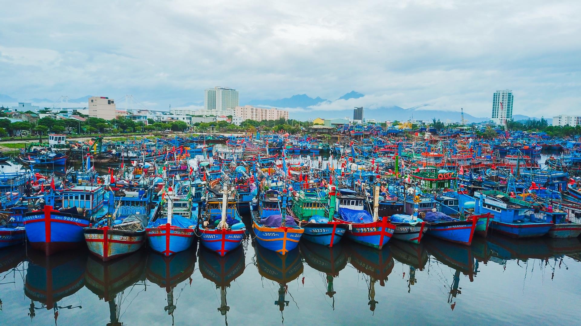 4.000 tau ca vao au thuyen o Da Nang tru bao hinh anh