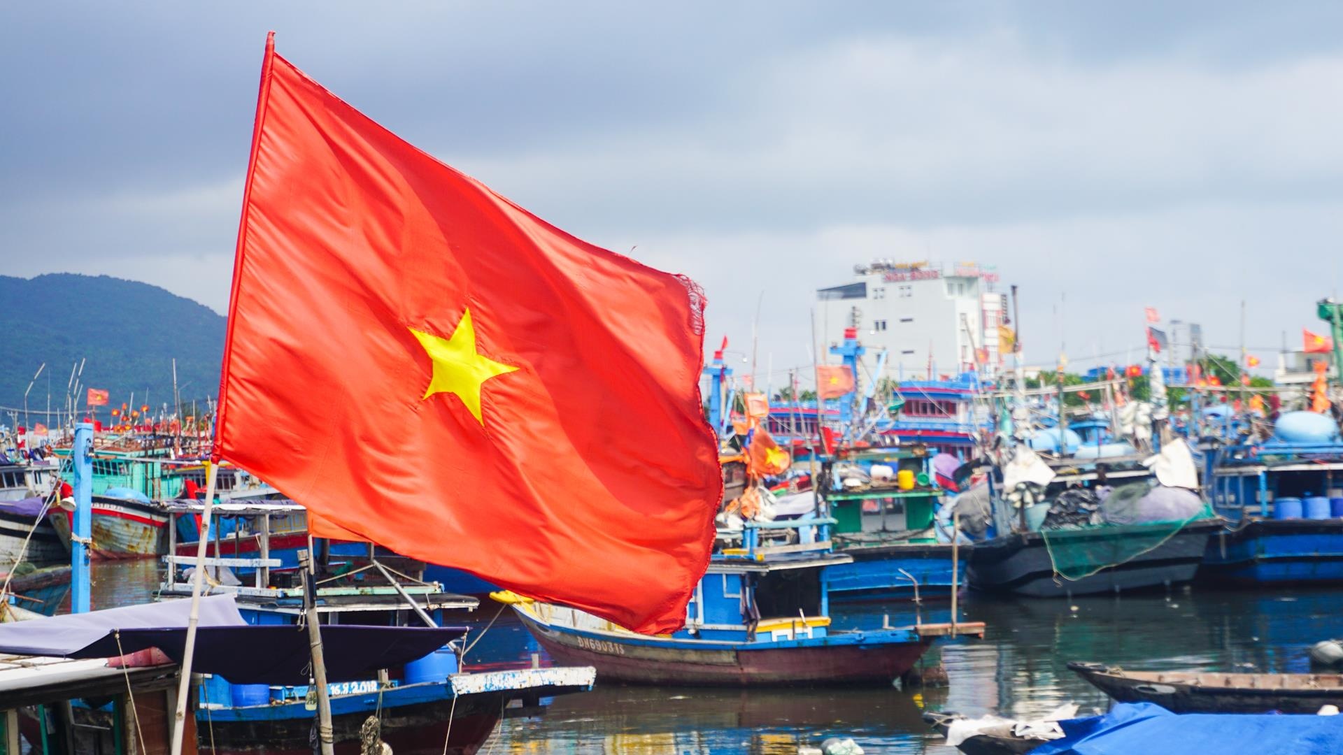 Hang nghin tau ca vao au thuyen lon nhat mien Trung tru bao hinh anh