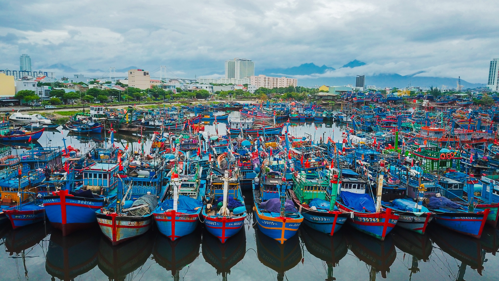 Tau ca tranh bao o Da Nang anh 1