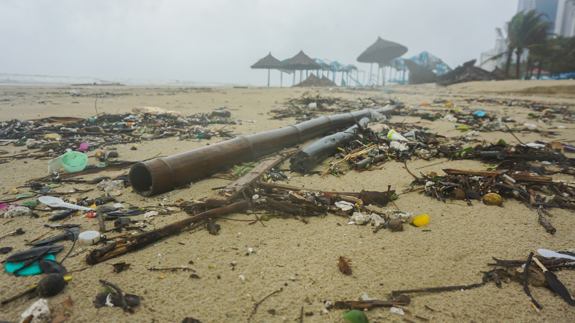 Bai bien Da Nang tan hoang sau bao so 5 anh 9