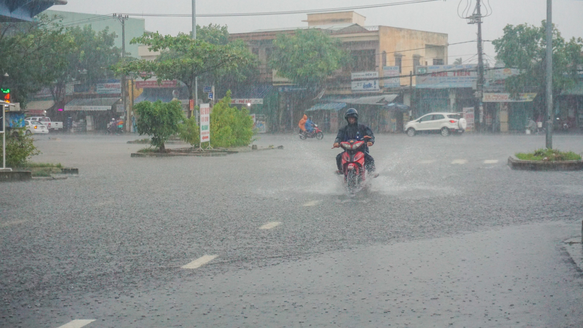Bão số 5 gây mưa lớn làm cây đổ ở Đà Nẵng ảnh 1 Bao so 5 gay mua lon lam cay do o Da Nang anh 1