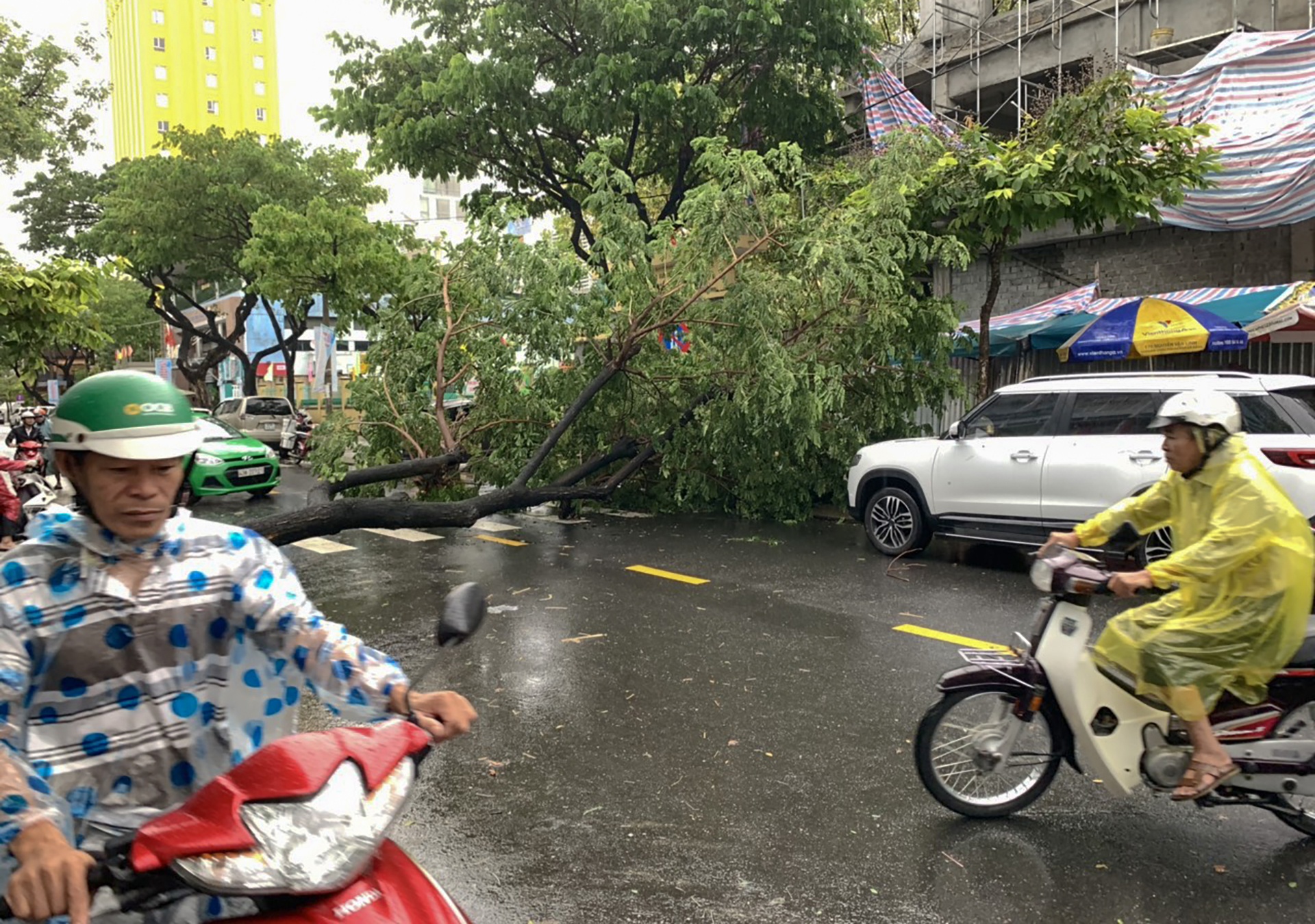 Bão số 5 gây mưa lớn làm cây đổ ở Đà Nẵng ảnh 3 Bao so 5 gay mua lon lam cay do o Da Nang anh 3