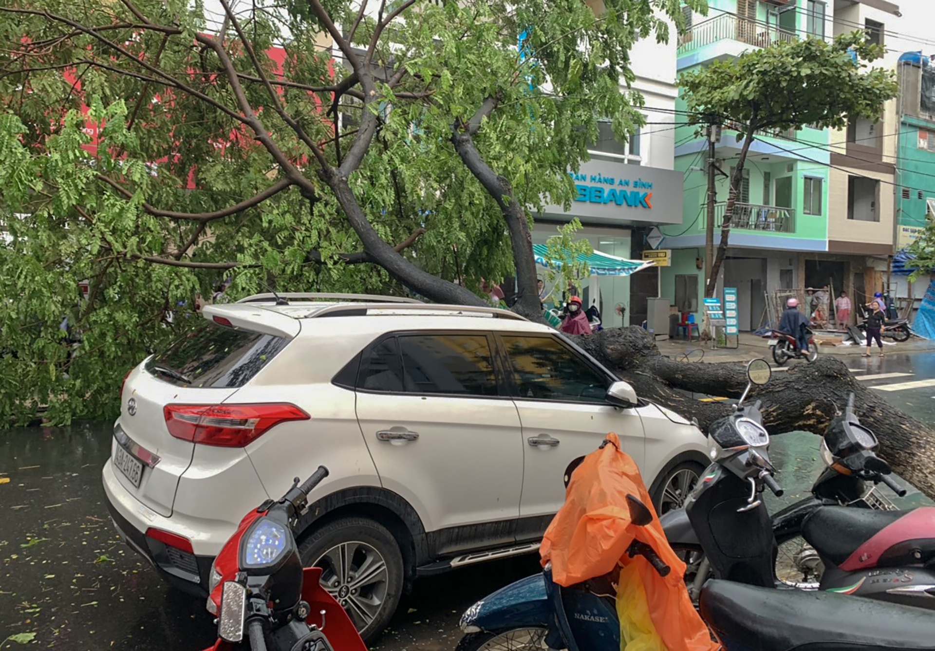 Bão số 5 gây mưa lớn làm cây đổ ở Đà Nẵng ảnh 4 Bao so 5 gay mua lon lam cay do o Da Nang anh 4