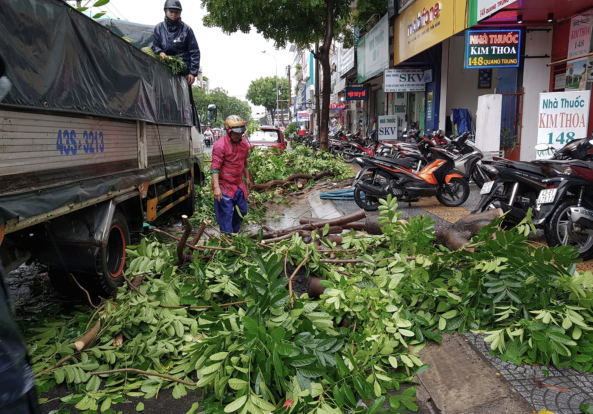 Bão số 5 gây mưa lớn làm cây đổ ở Đà Nẵng ảnh 6 Bao so 5 gay mua lon lam cay do o Da Nang anh 6