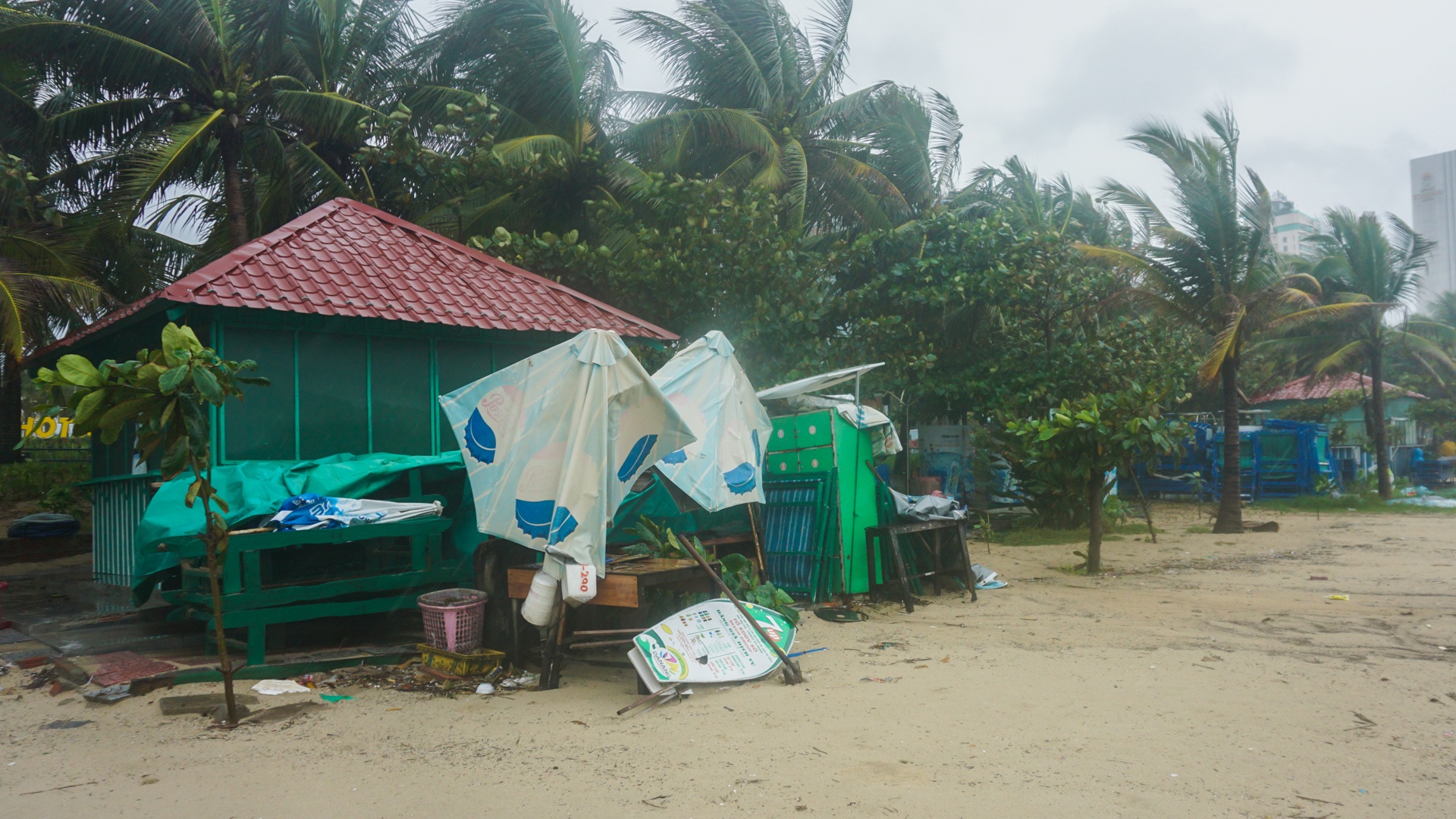 Bai bien Da Nang tan hoang sau bao so 5 anh 5
