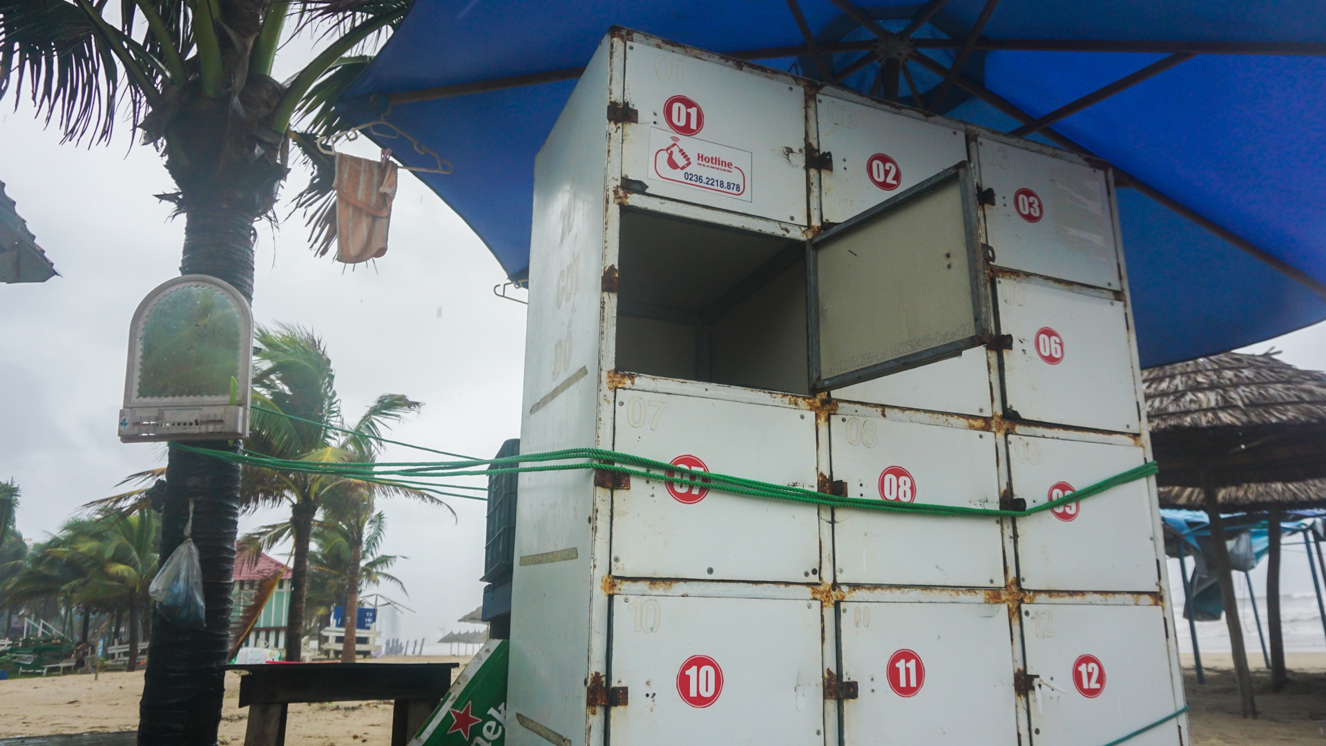 Bai bien Da Nang tan hoang sau bao so 5 anh 7